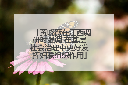 黄晓薇在江西调研时强调 在基层社会治理中更好发挥妇联组织作用